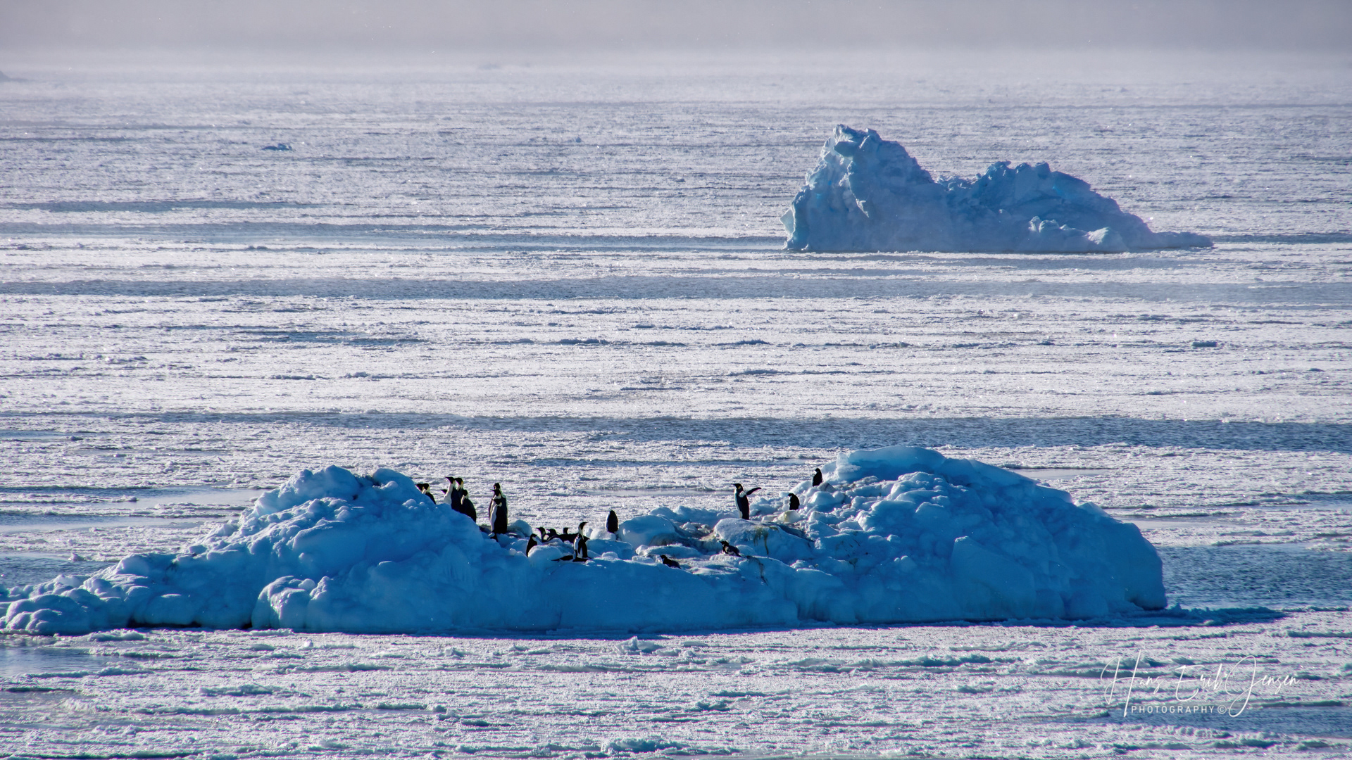 Antarctica 34