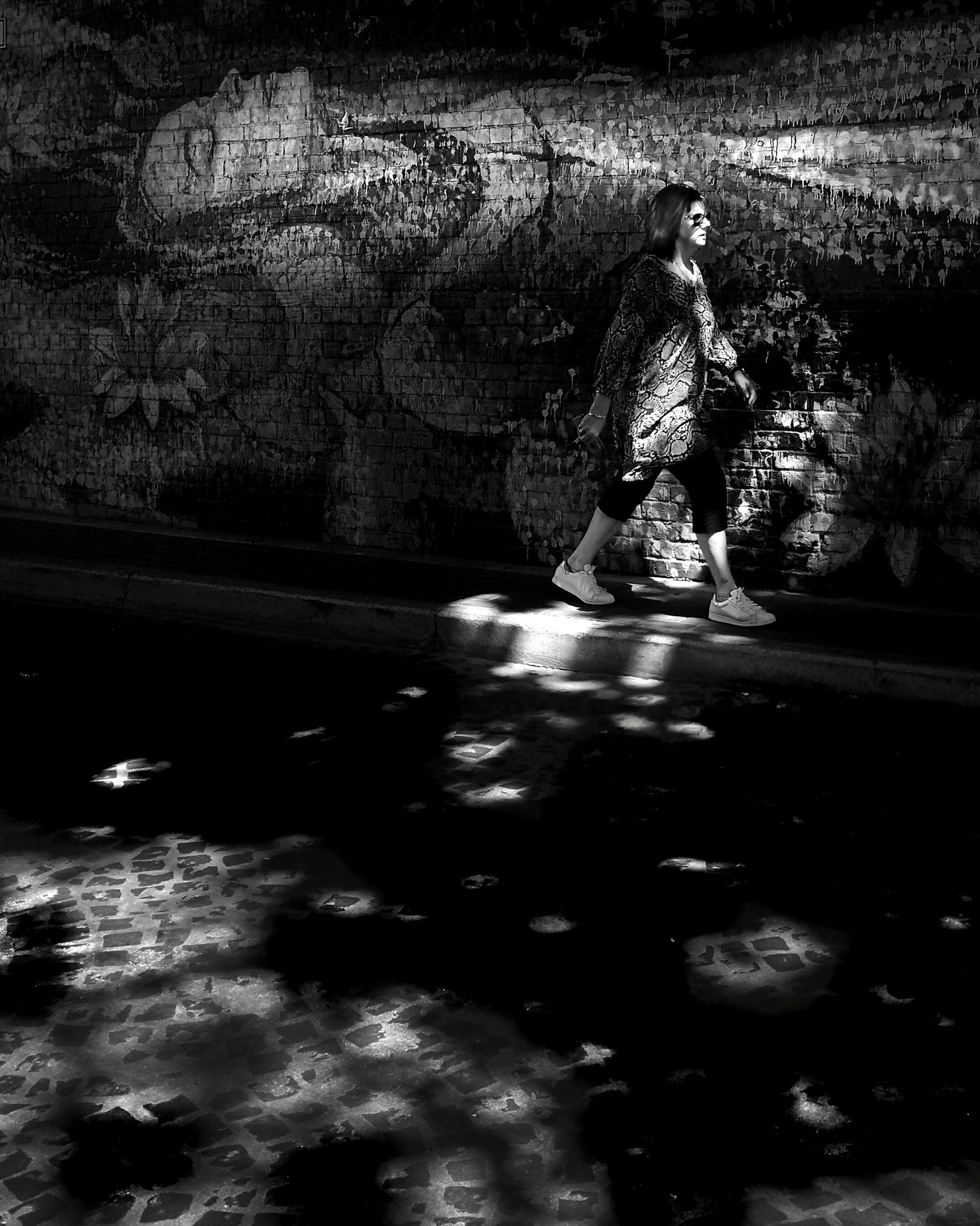Dappled Light