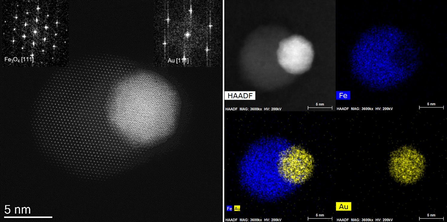 (a) HAADF-STEM image of a typical Au-Fe3O4 nanocrystal; (b) The overlaid fast FFT patterns of Au and Fe3O4 lobes; (c-e) EDS elemental mapping of a single Au-Fe3O4 nanocrystal.
