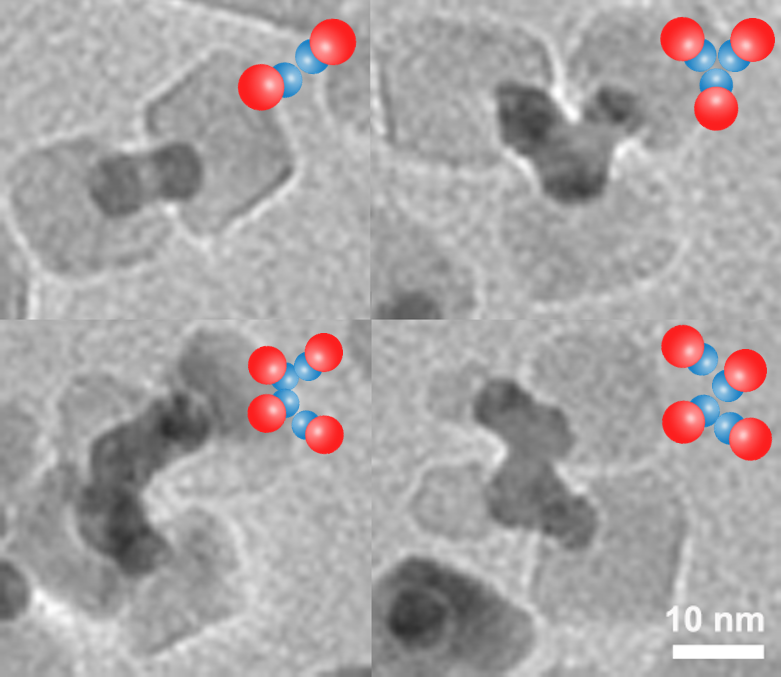 Clusters consisting of 2, 3 and 4 dumbbell nanocrystals