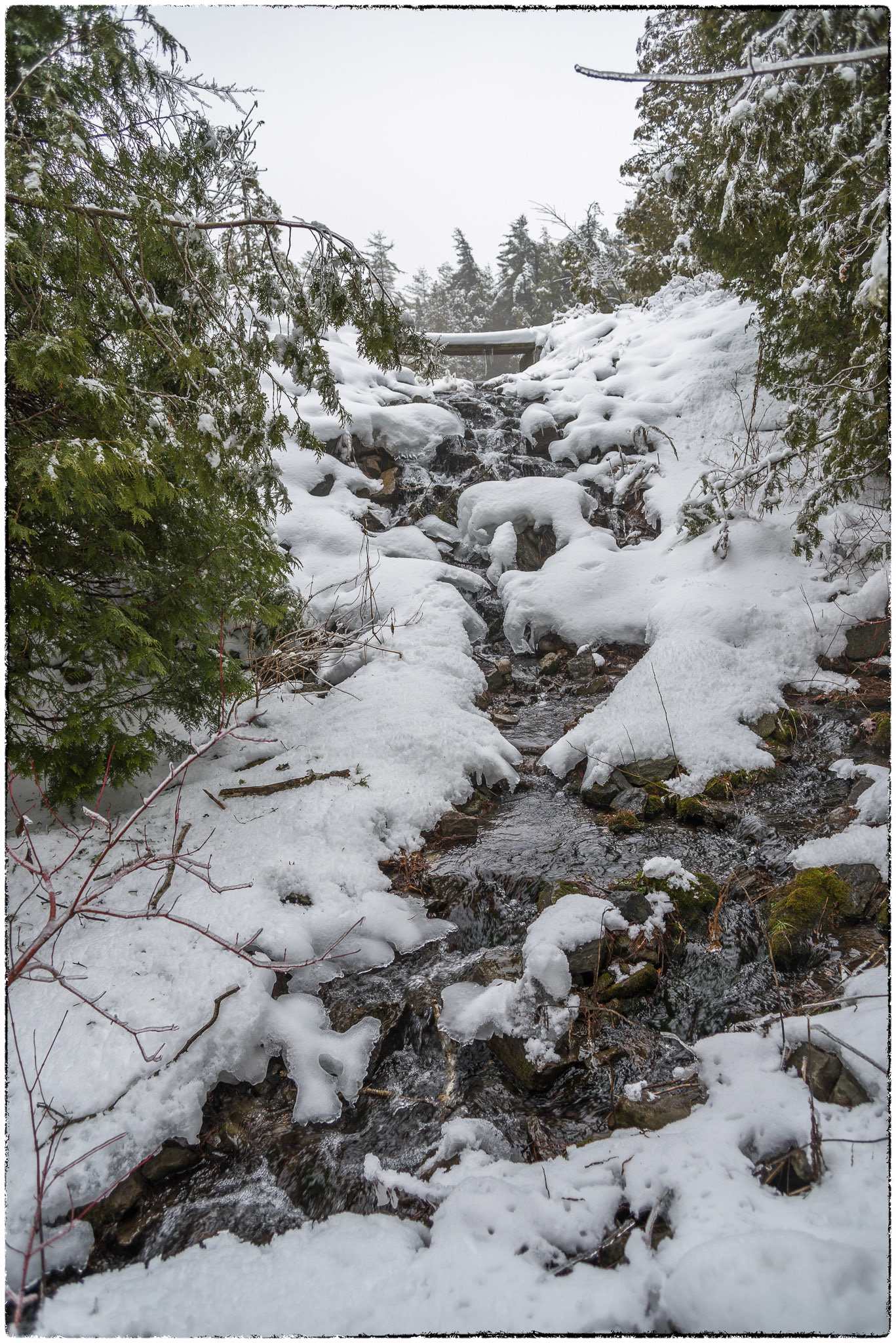 Above a millpond on East Duffins Creek