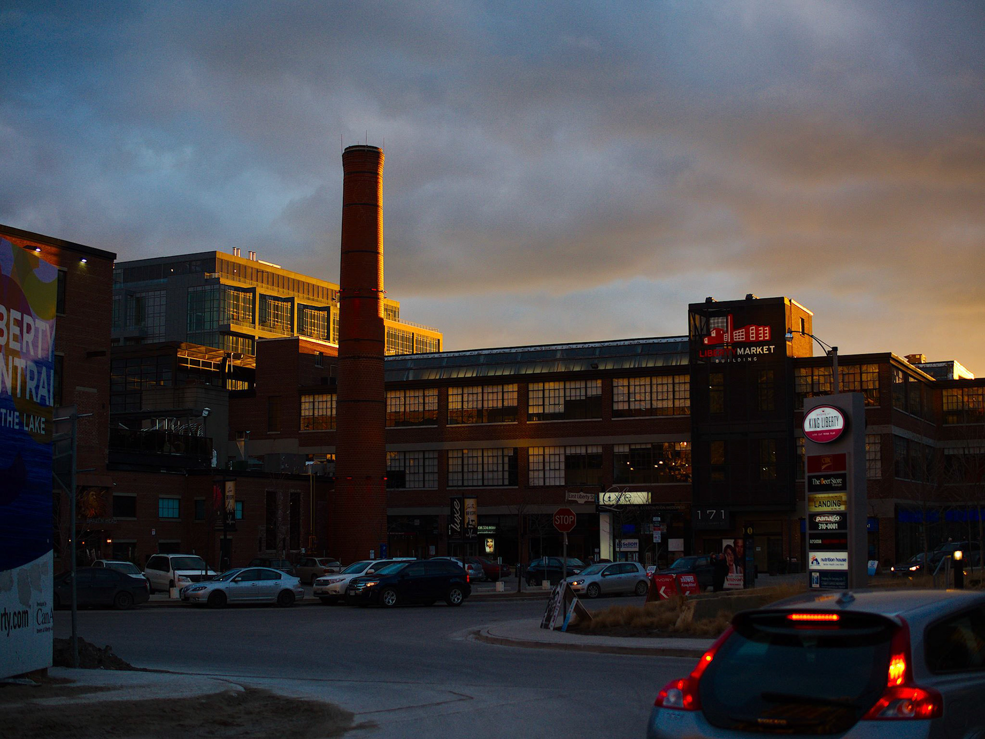Backlit as the sun goes down