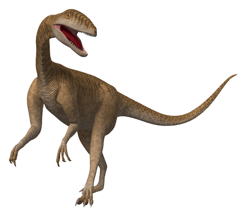 Ota Design Illustration File おおたデザイン工房 恐竜 Dinosaur 三畳紀