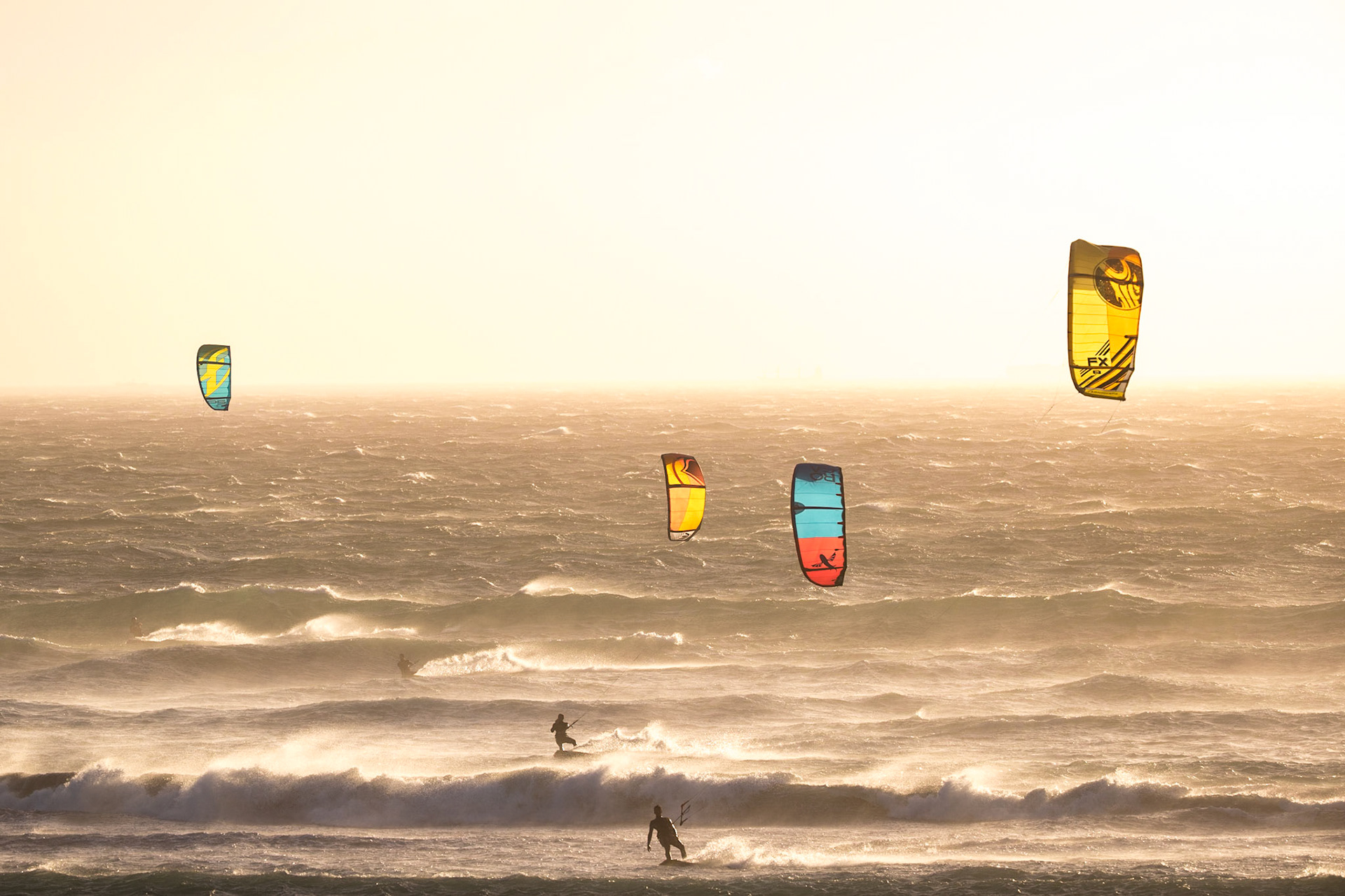 Wild Sunset Paradise