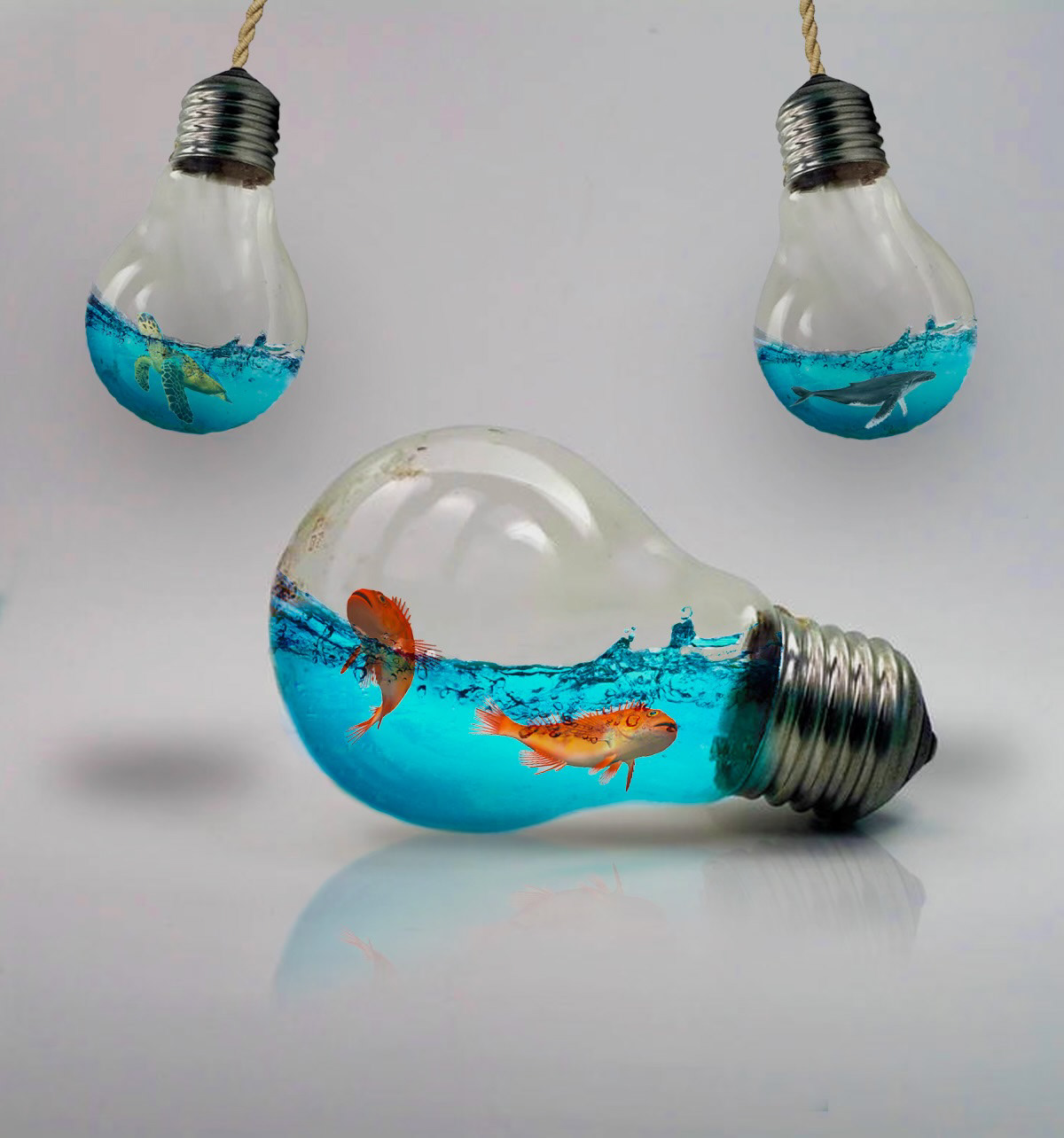 Adobe Photoshop collage