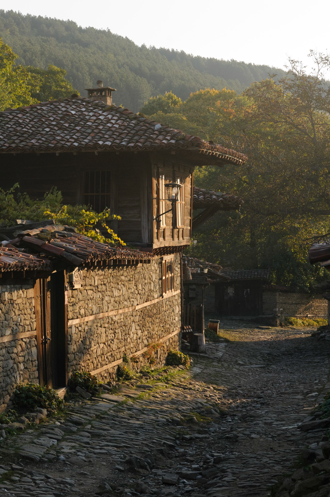 Jeravna
