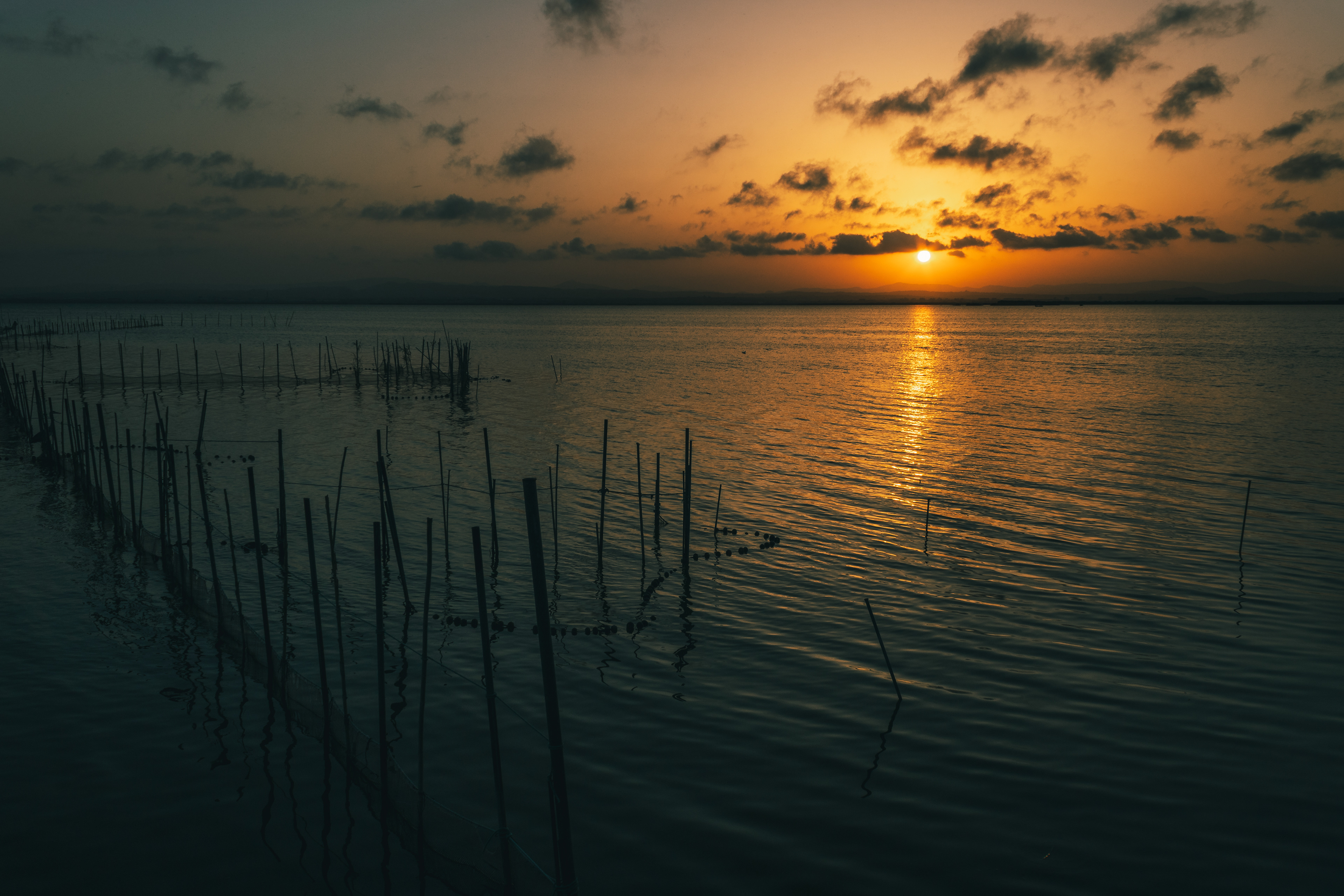 ATARDECER EN LA ALBUFERA