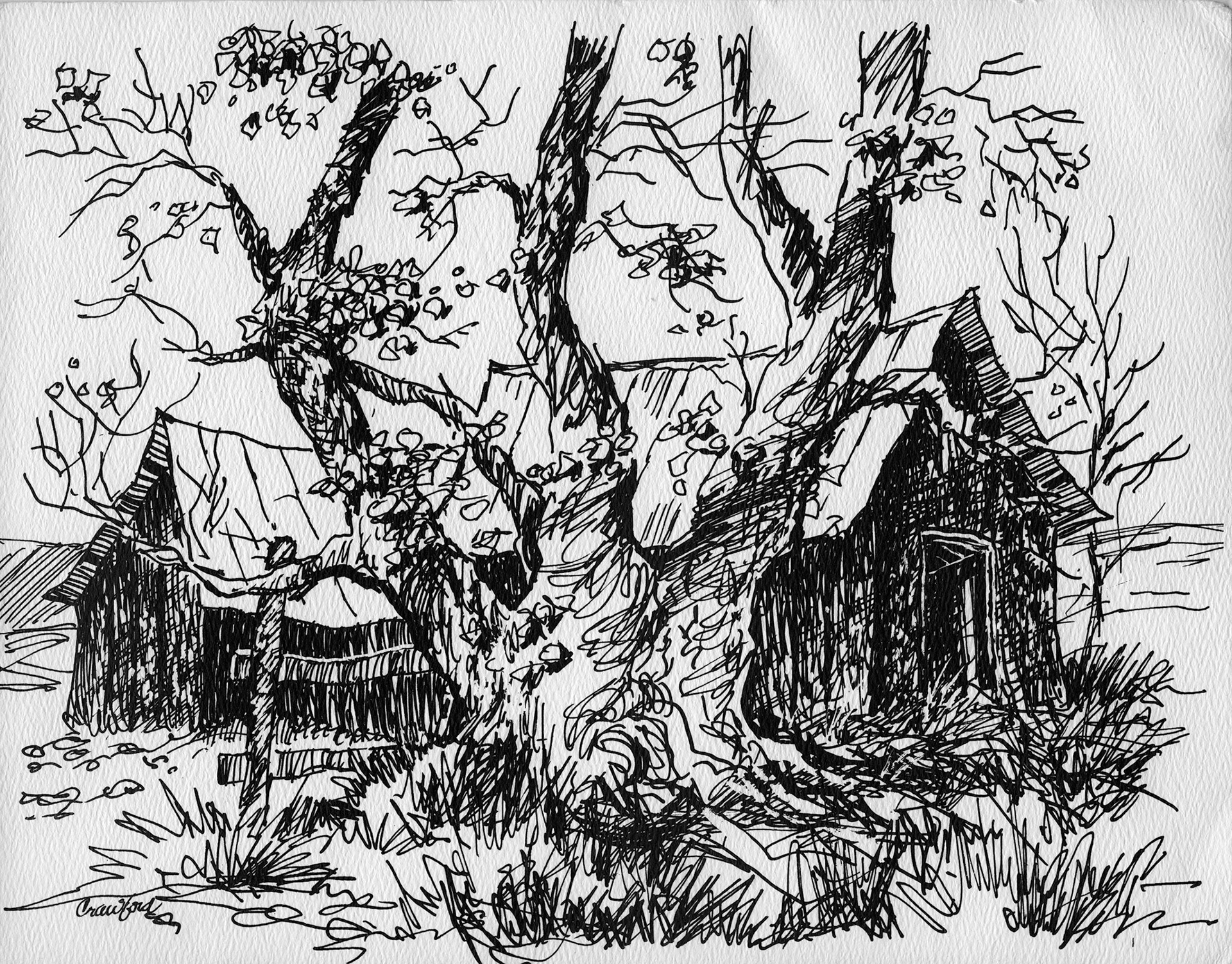 Pen & ink drawing