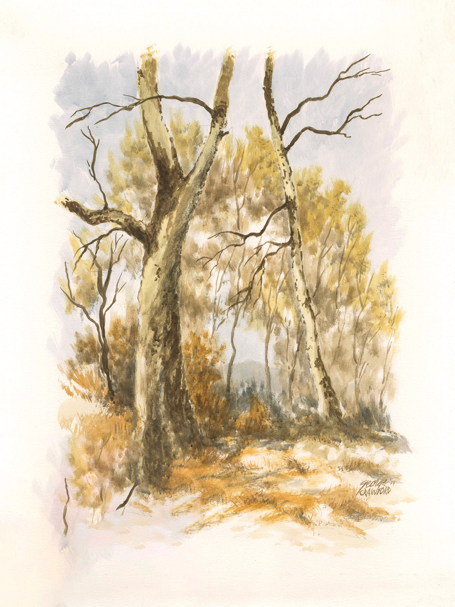 Untitled (Watercolor 14J); Acrylic watercolor on paper; 24 x 18 inches; © 2014