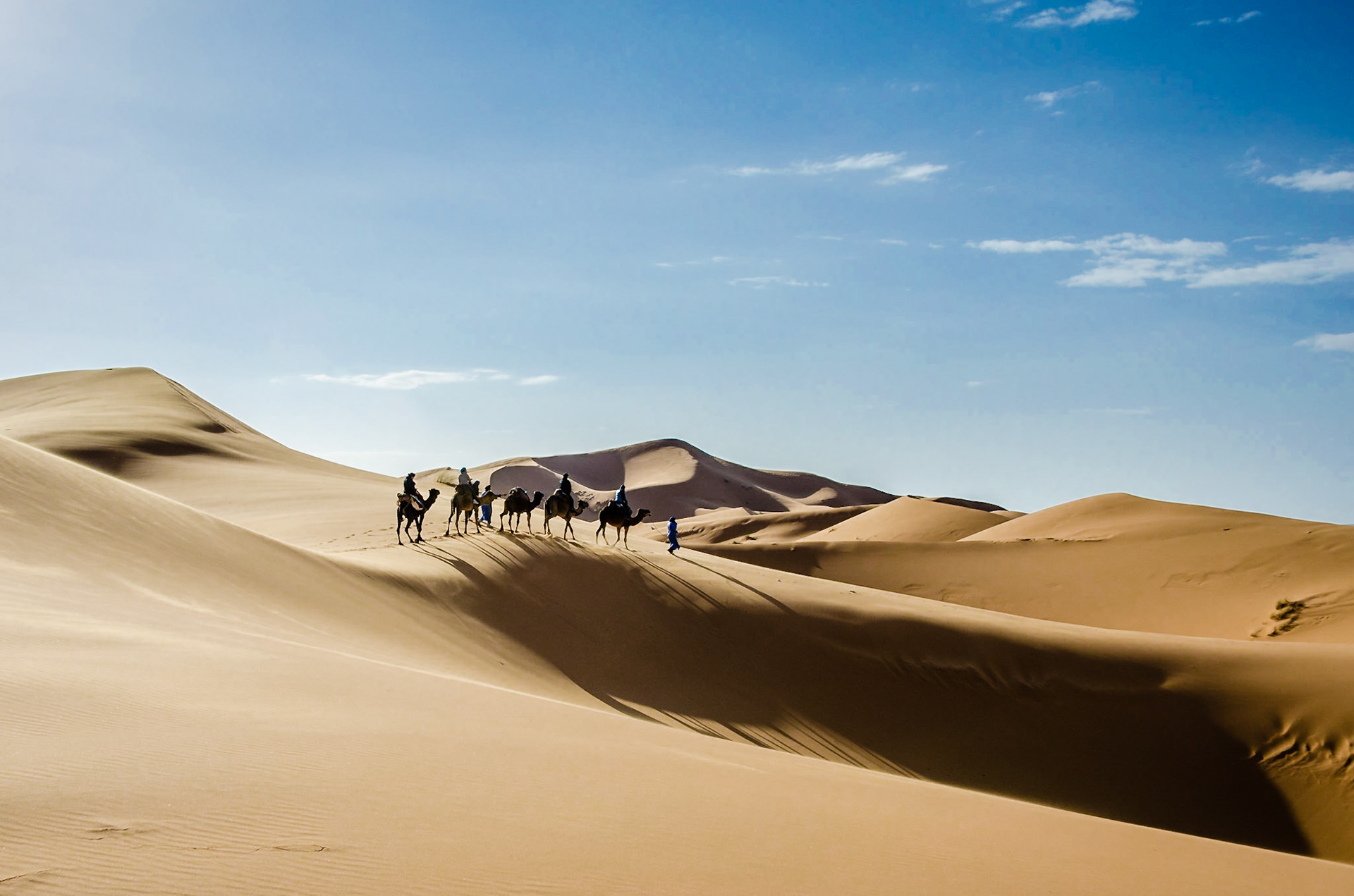 An early morning camel safari in the Erg Chebbi desert, Morocco.