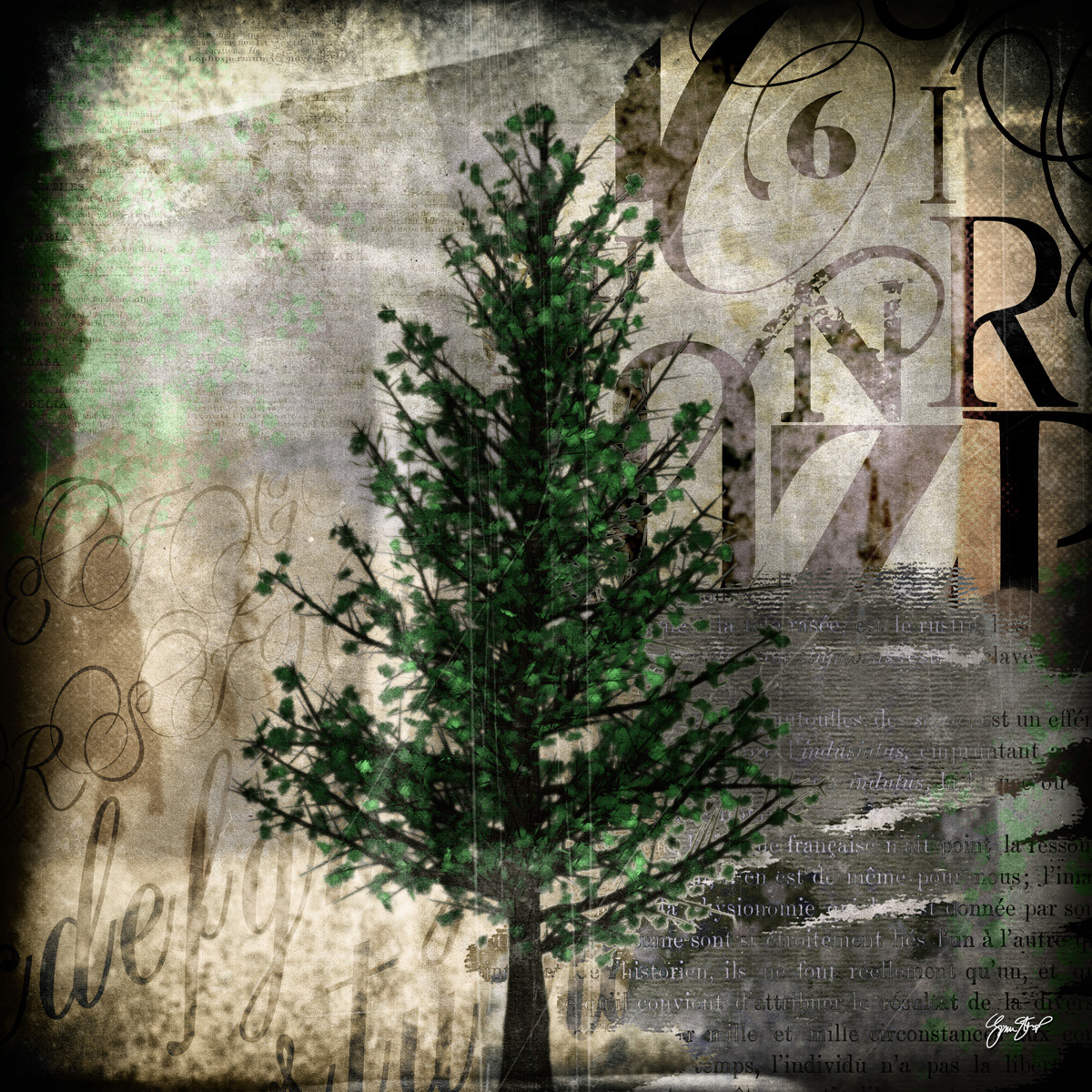 The Pine Tree by Gina Startup
