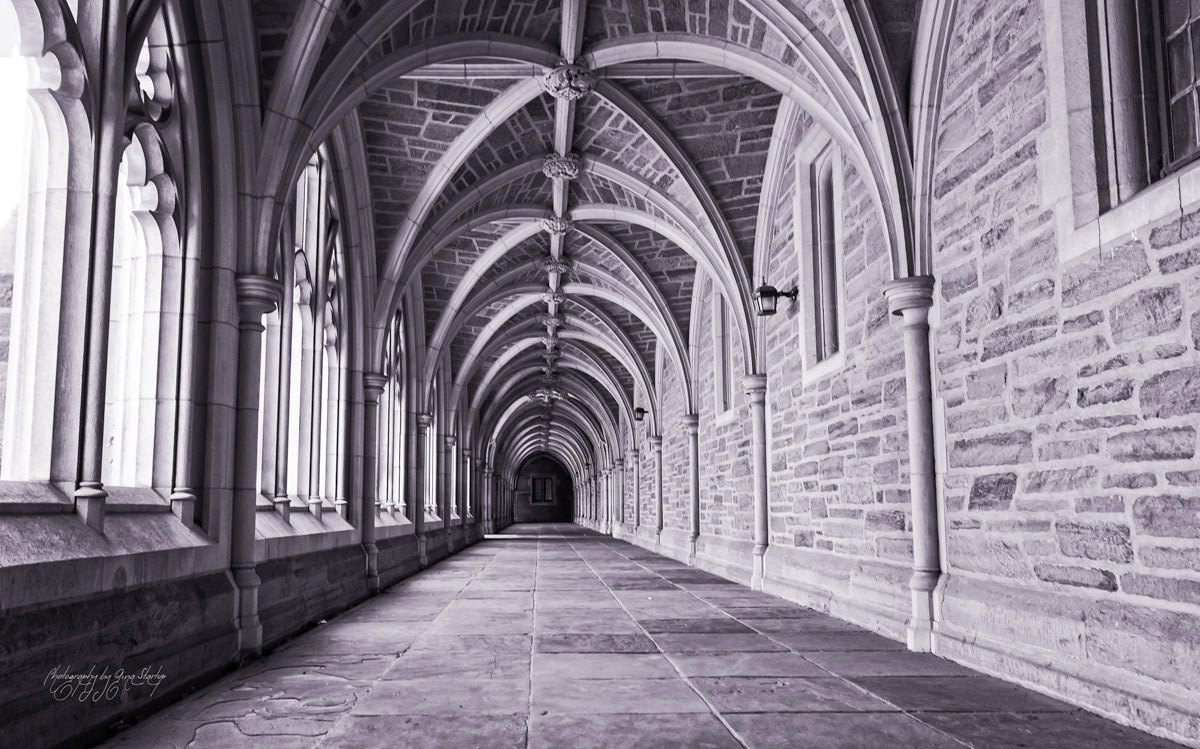 Photography by Gina Startup