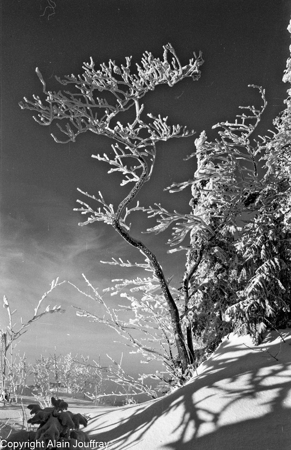 Vercors