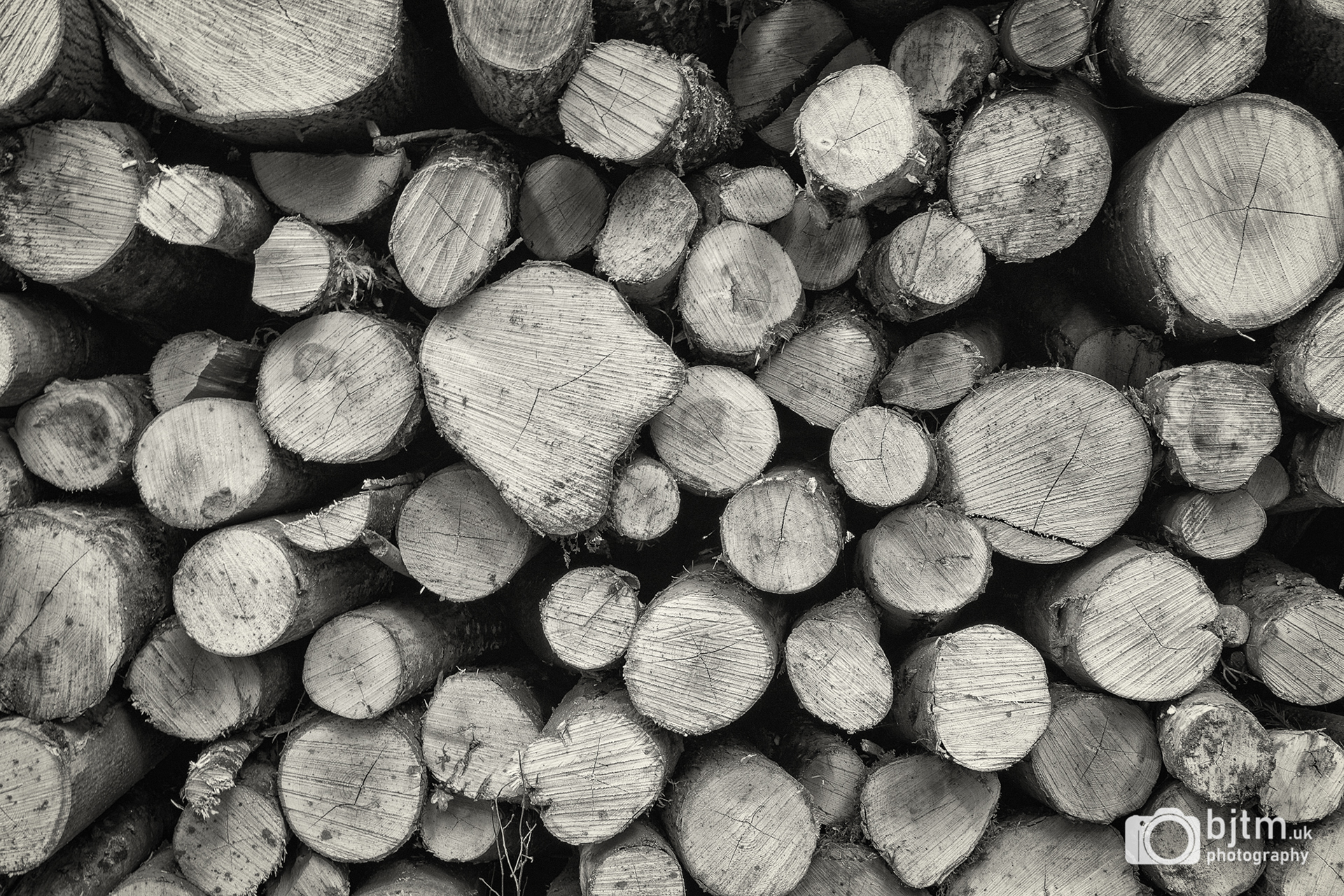 Stacked logs. Wiltshire, May 2018