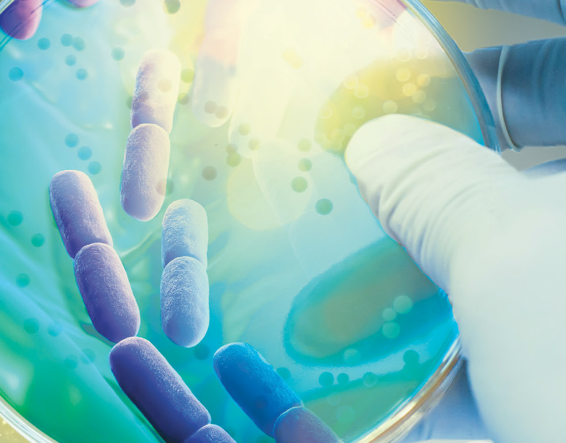 YOTE Design Thermo Fisher Scientific Catalogue Design