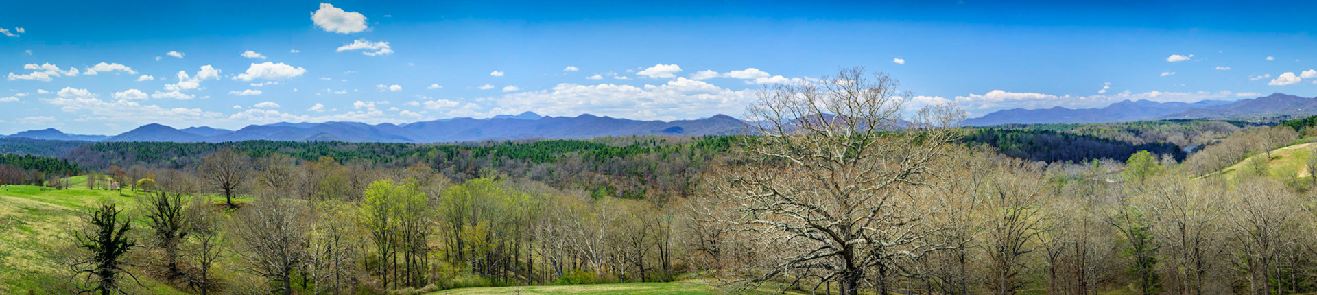 Panorama from Biltmore South Terrace