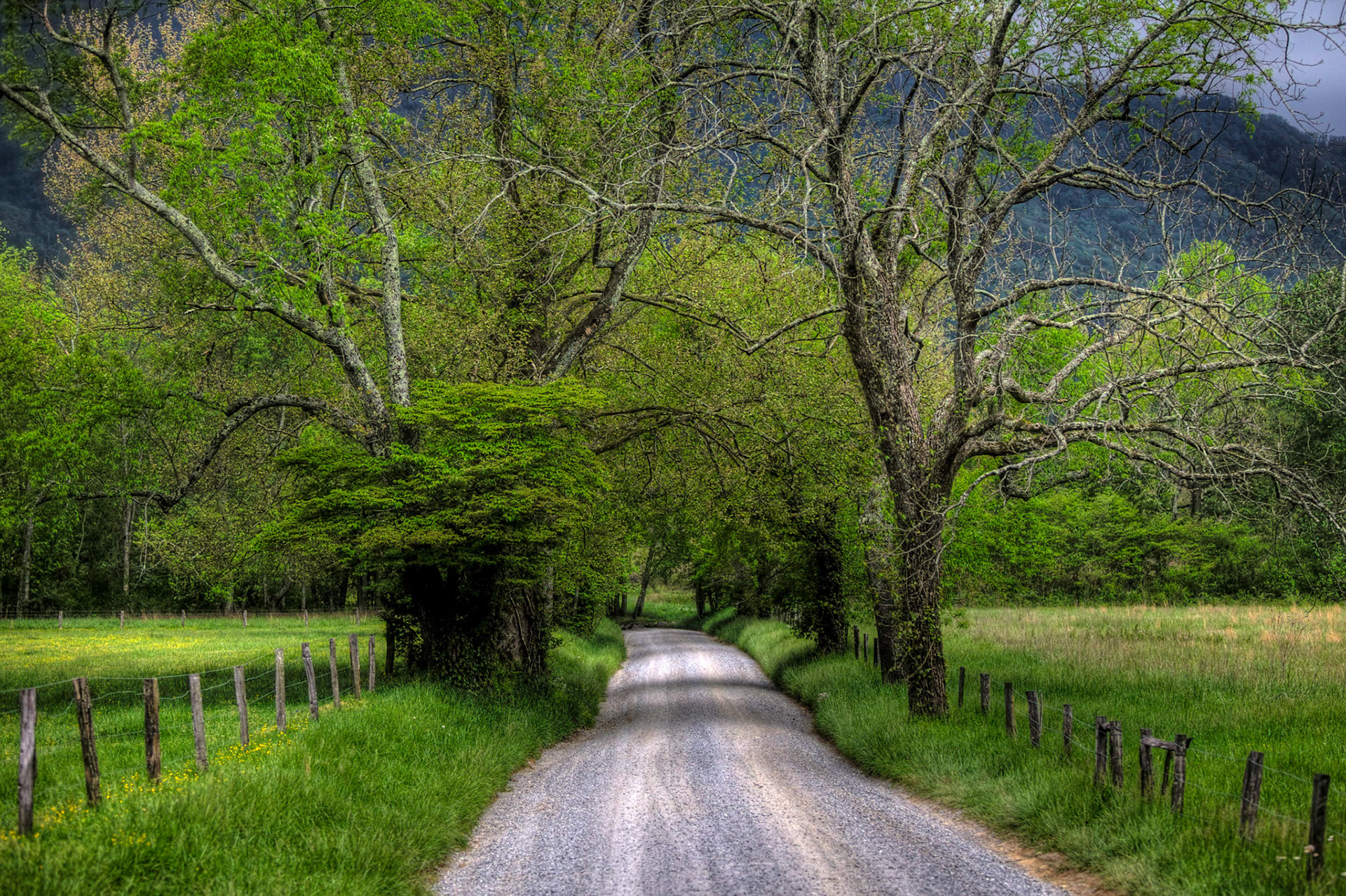 Sparks Lane - Cades Cove, TN