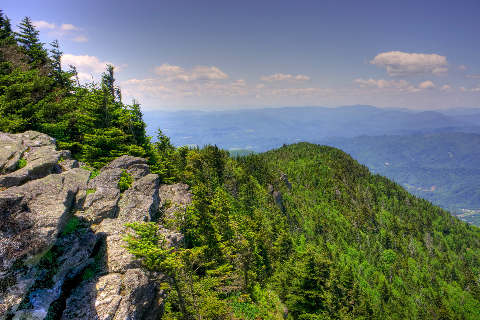 Roan Mountain Overlook