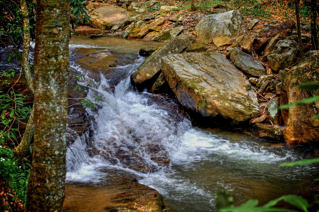Stream from Pearson's Falls