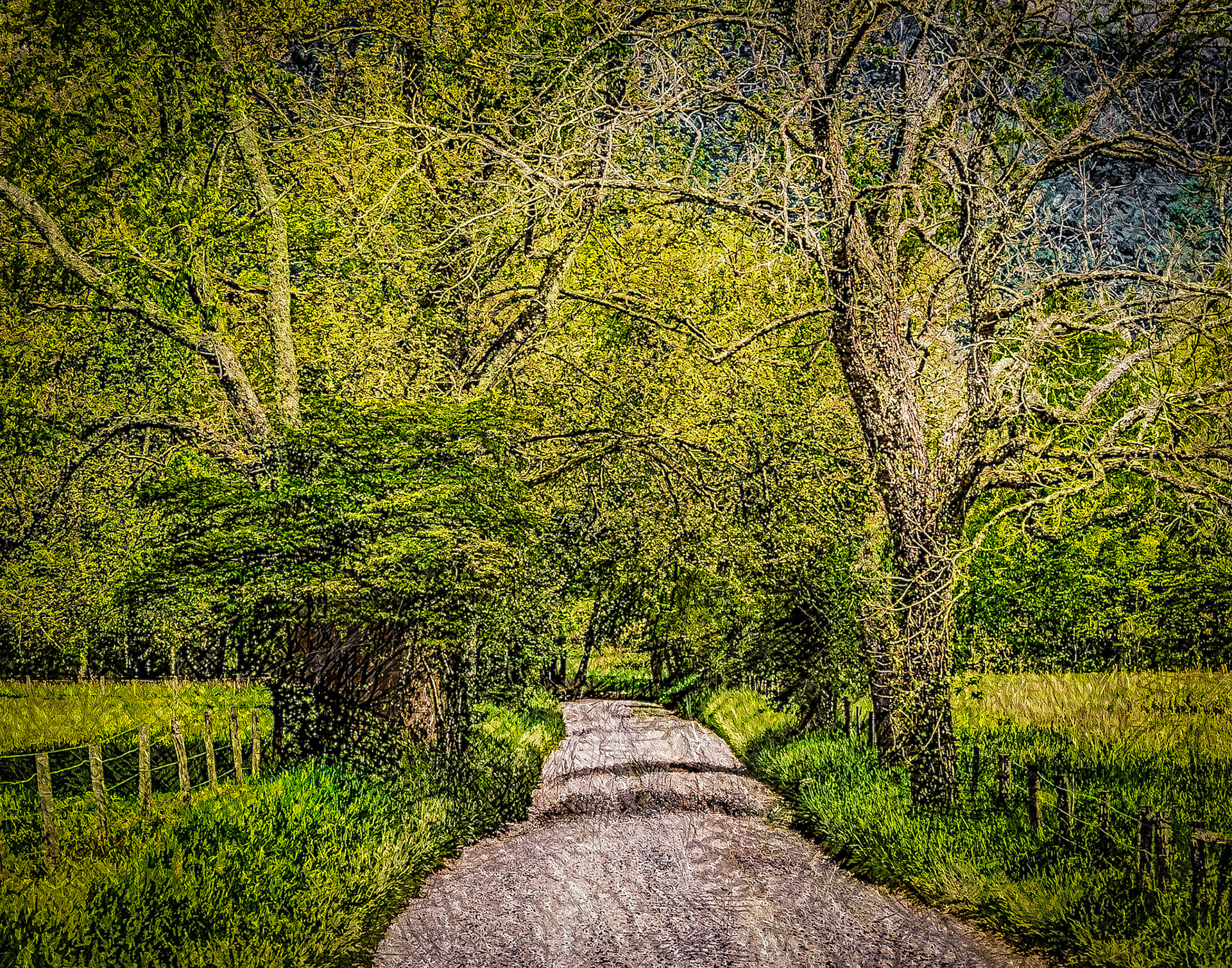 Sparks Lane - Cades Cove, TN