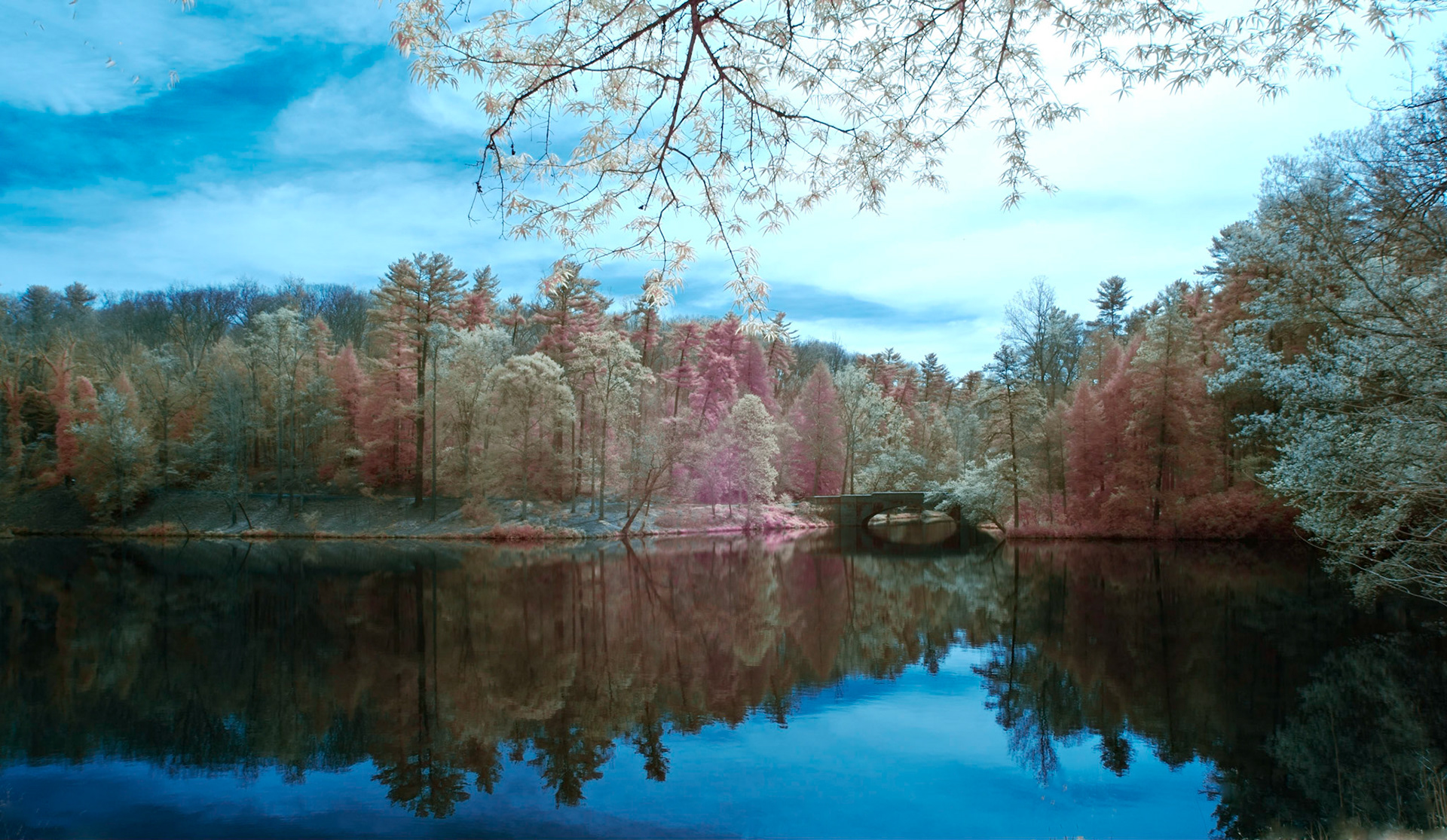 Biltmore Bass Pond (IR)