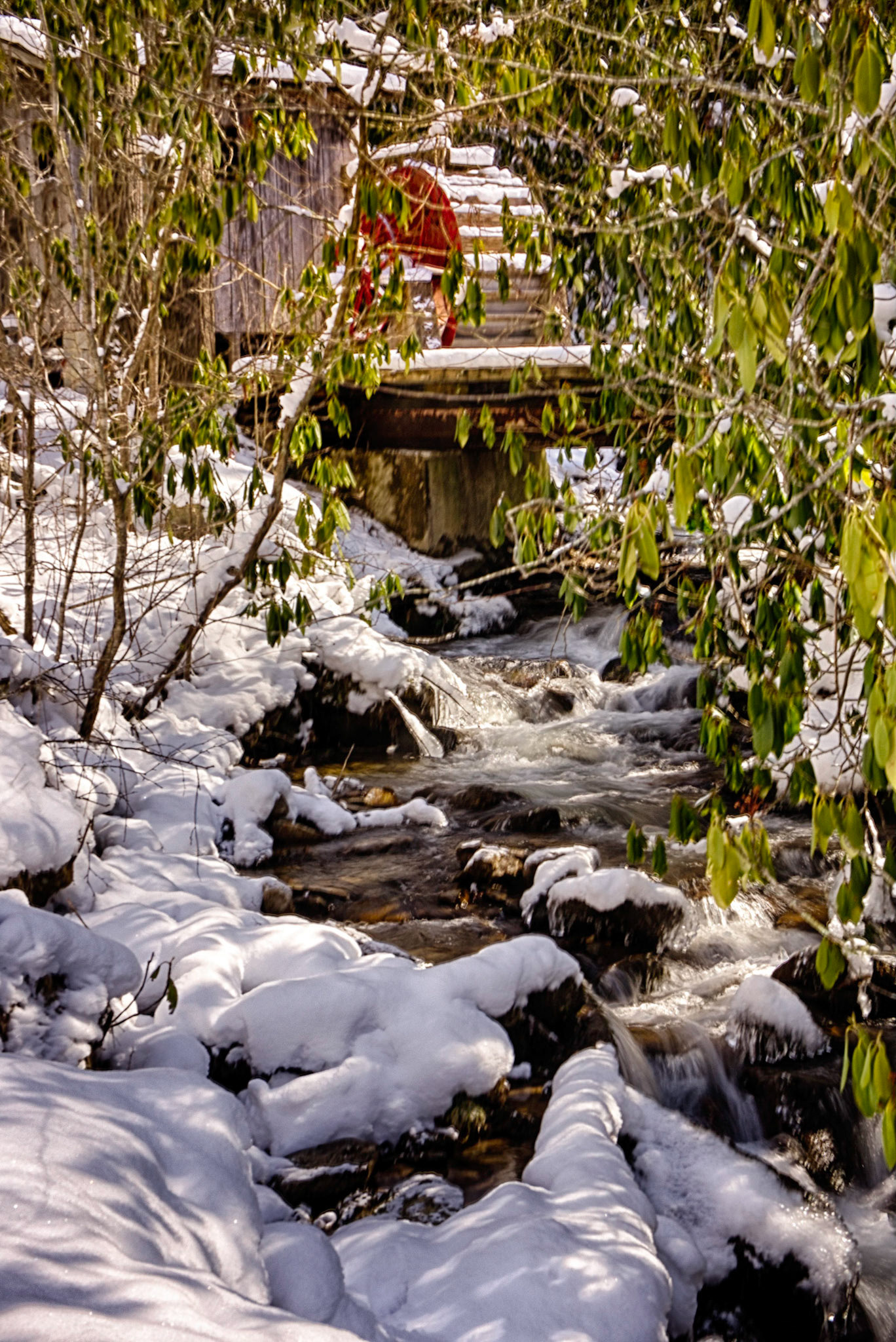 Snowy Creek and Waterwheel