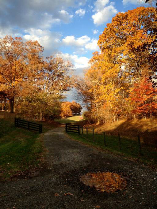 Enjoy gorgeous Virginia.