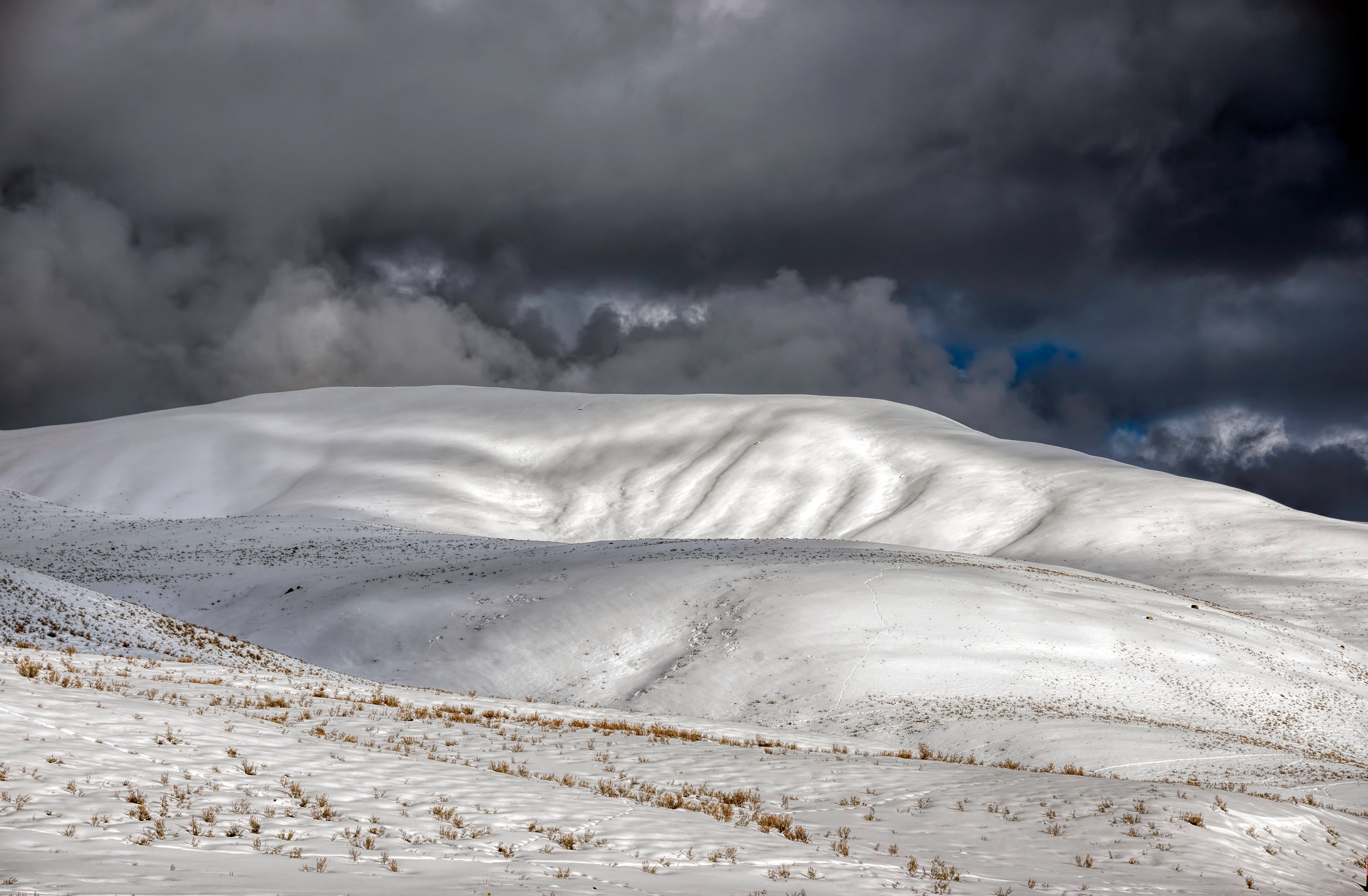 Lamar Valley-Montana