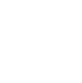Anny Follesøy